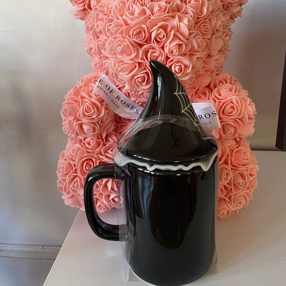 Rae Dunn Caught In Your Web Mug